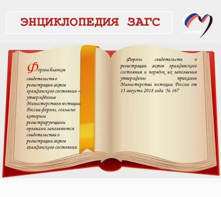 #загс31 #энциклопедиязагс