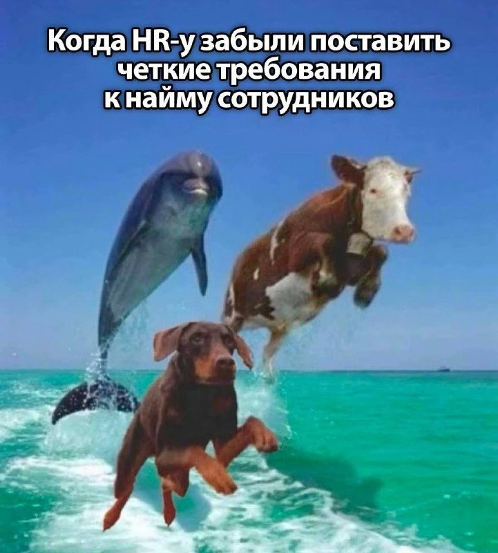 Очень смешно и очень наглядно)))

Но скорее не hr-ы, а нанимающие менеджеры в своих ТЗ хотели все и 