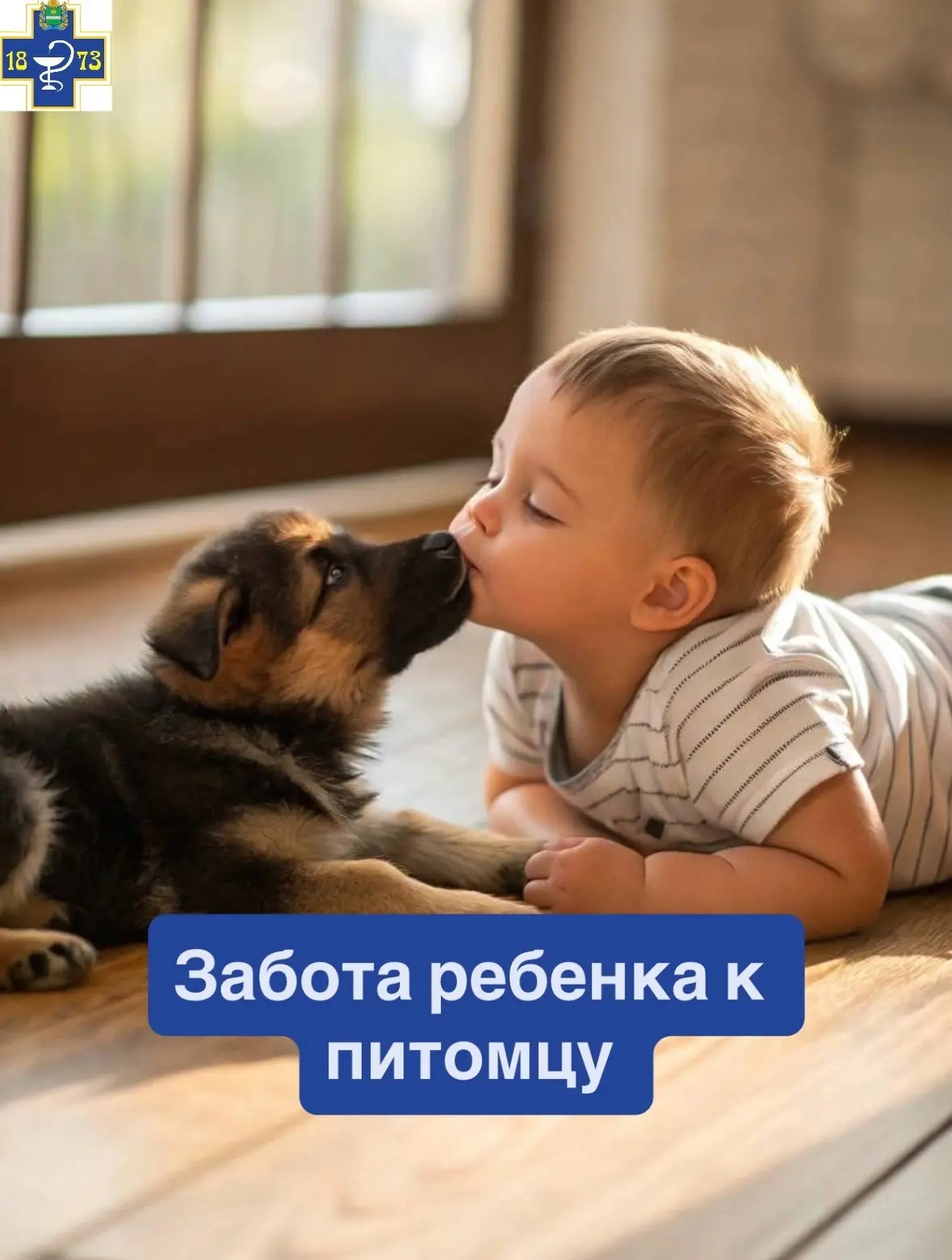 🌸Как научить ребенка заботиться о питомце?