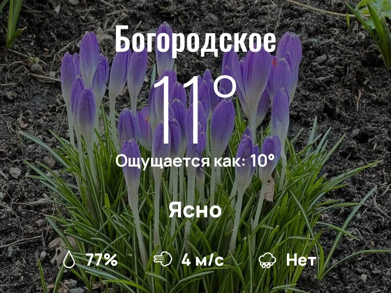 Что с погодой в Богородском?