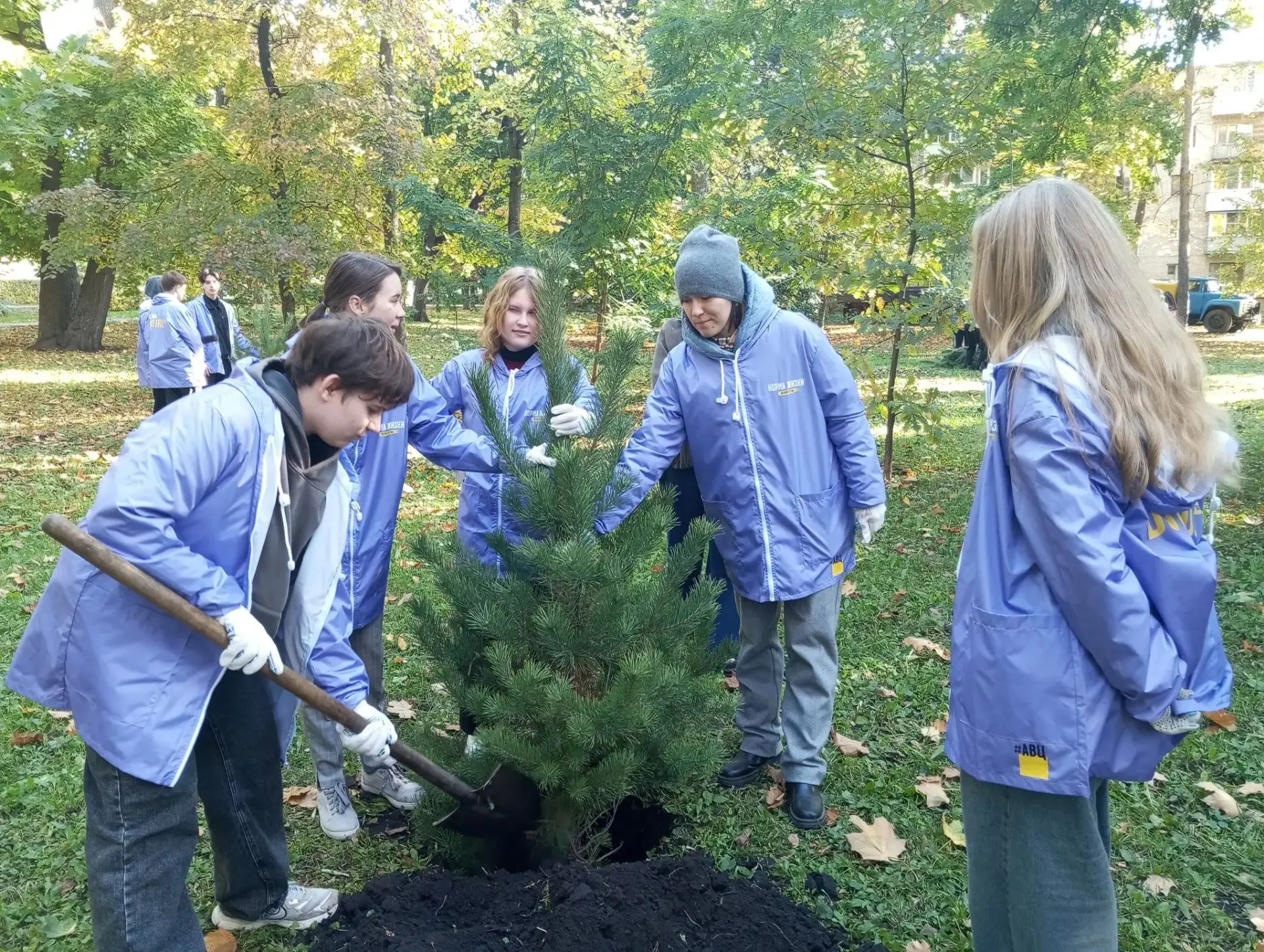 🌲7 октября наши лицеисты в рамках проекта "Я горожанин" высаживали молодые сосны в пар...
