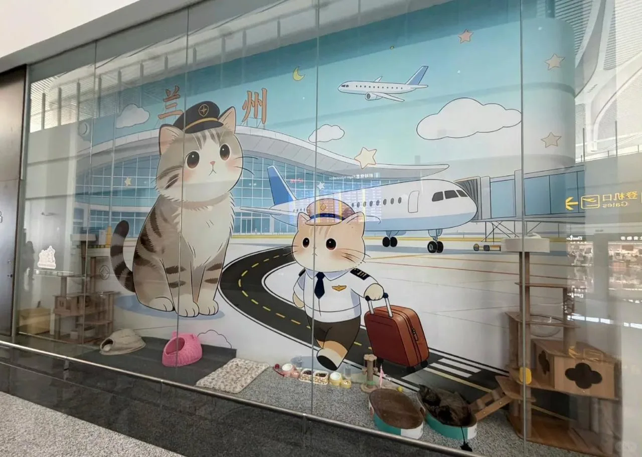 ✈️😻 В китайском аэропорту построили домик для кошек-«сотрудников»

В аэропорту китайского Ланьчжоу 