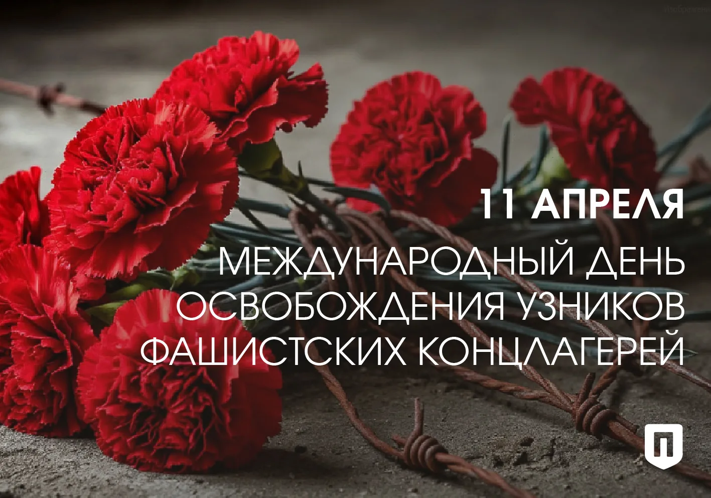 11 апреля отмечается Международный день освобождения узников фашистских концлагерей — п...