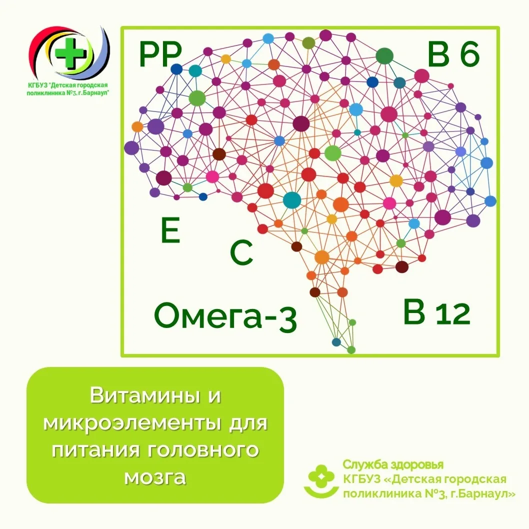 Сколько ресурсов нужно мозгу ежедневно? Понимая, какой огромный объем данных содержится в мозге и ск