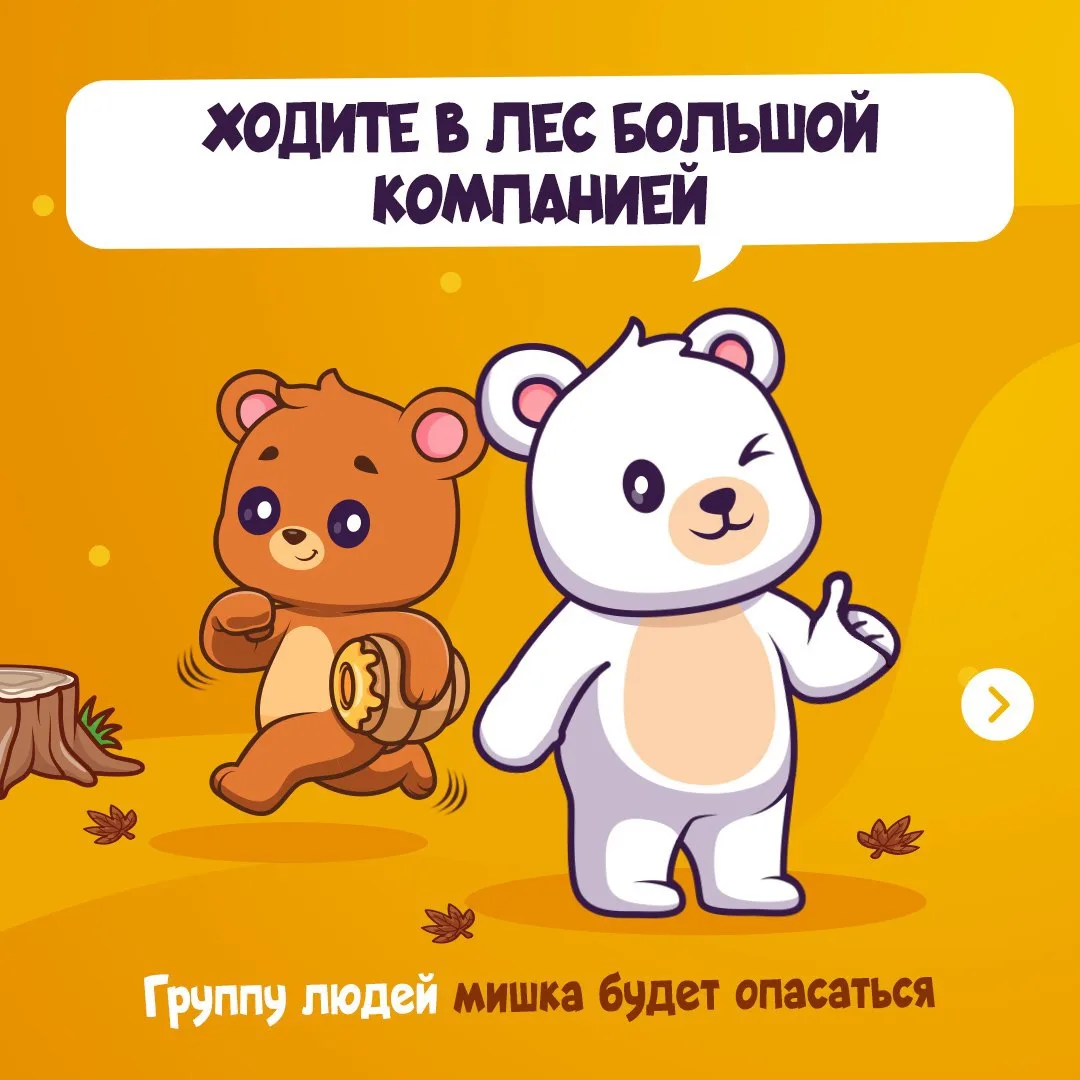 🐾Как избежать близкой встречи с медведем в лесу‼️