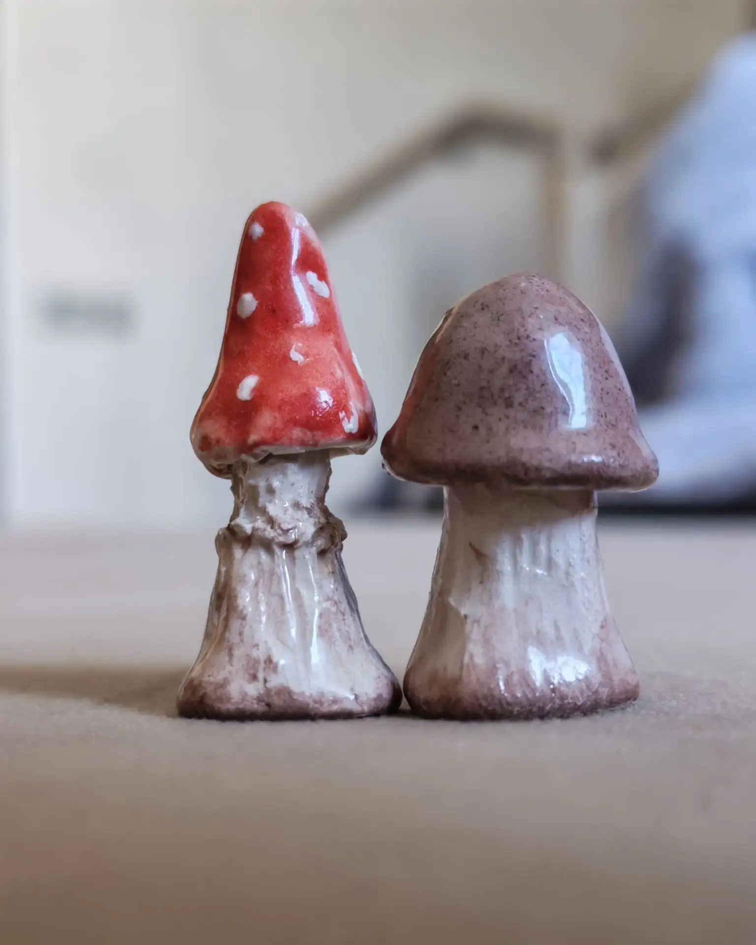 В этом году леса пока не радуют нас грибным урожаем… 🍄