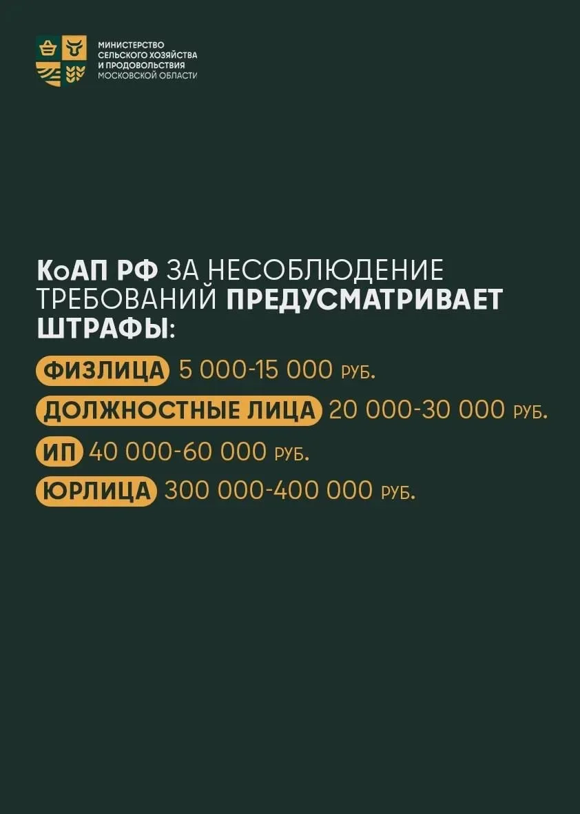 🔥 Пожароопасный сезон – период, когда даже небольшая неосторожность может привести к серьезным после