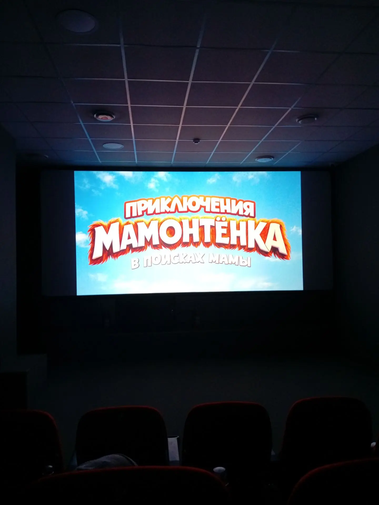 Вот такой фильм смотрим 😊