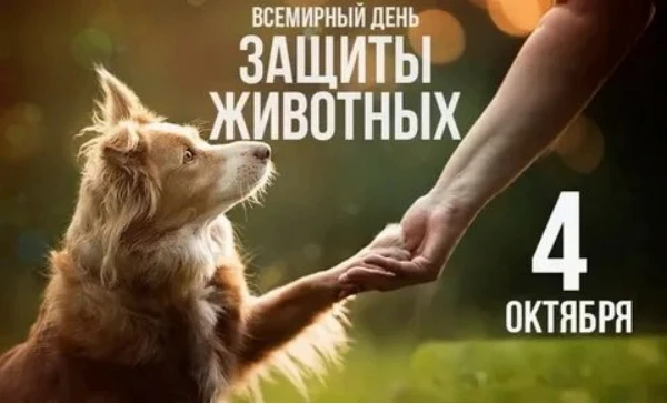 💢День, когда мир вспоминает о братьях наших меньших