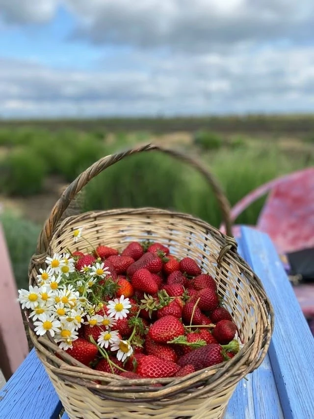 Ох, уж эта жизнь...
