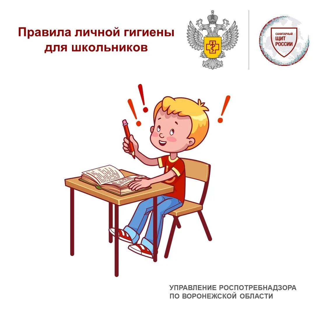 📌В связи с началом нового учебного года Управление Роспотребнадзора по Воронежской обл...