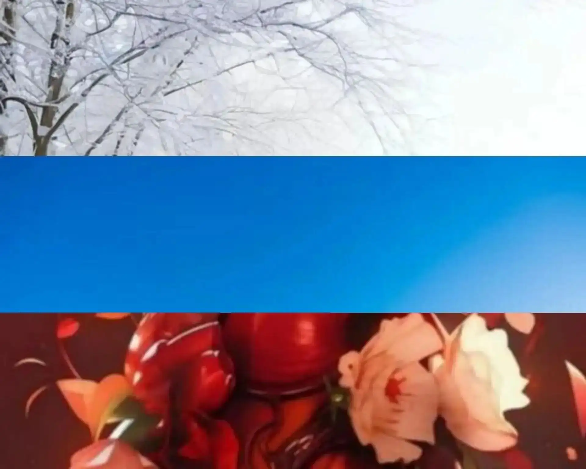 Ко Дню Государственного флага Российской Федерации!!!🇷🇺