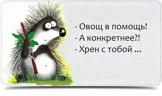 Ыкиньте