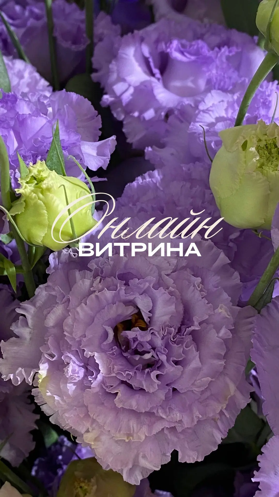 Онлайн витрина