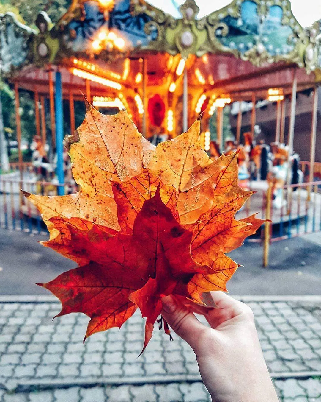Доброе осеннее утро Советский район 🍁
