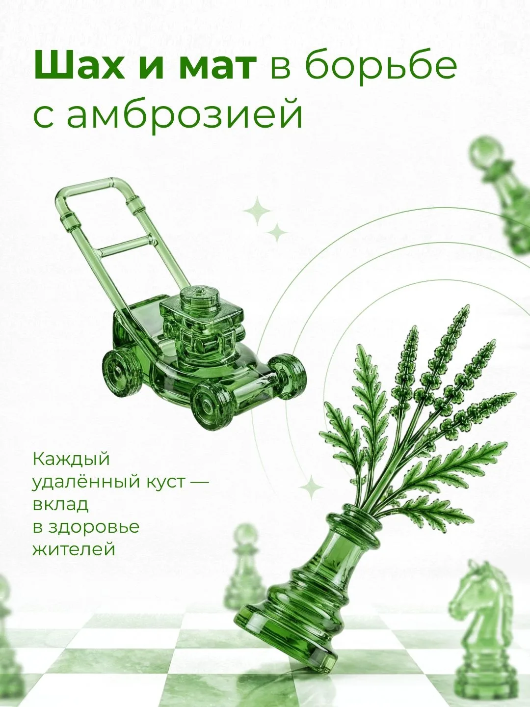 Амброзию легче остановить сегодня, чем бороться с её последствиями завтра