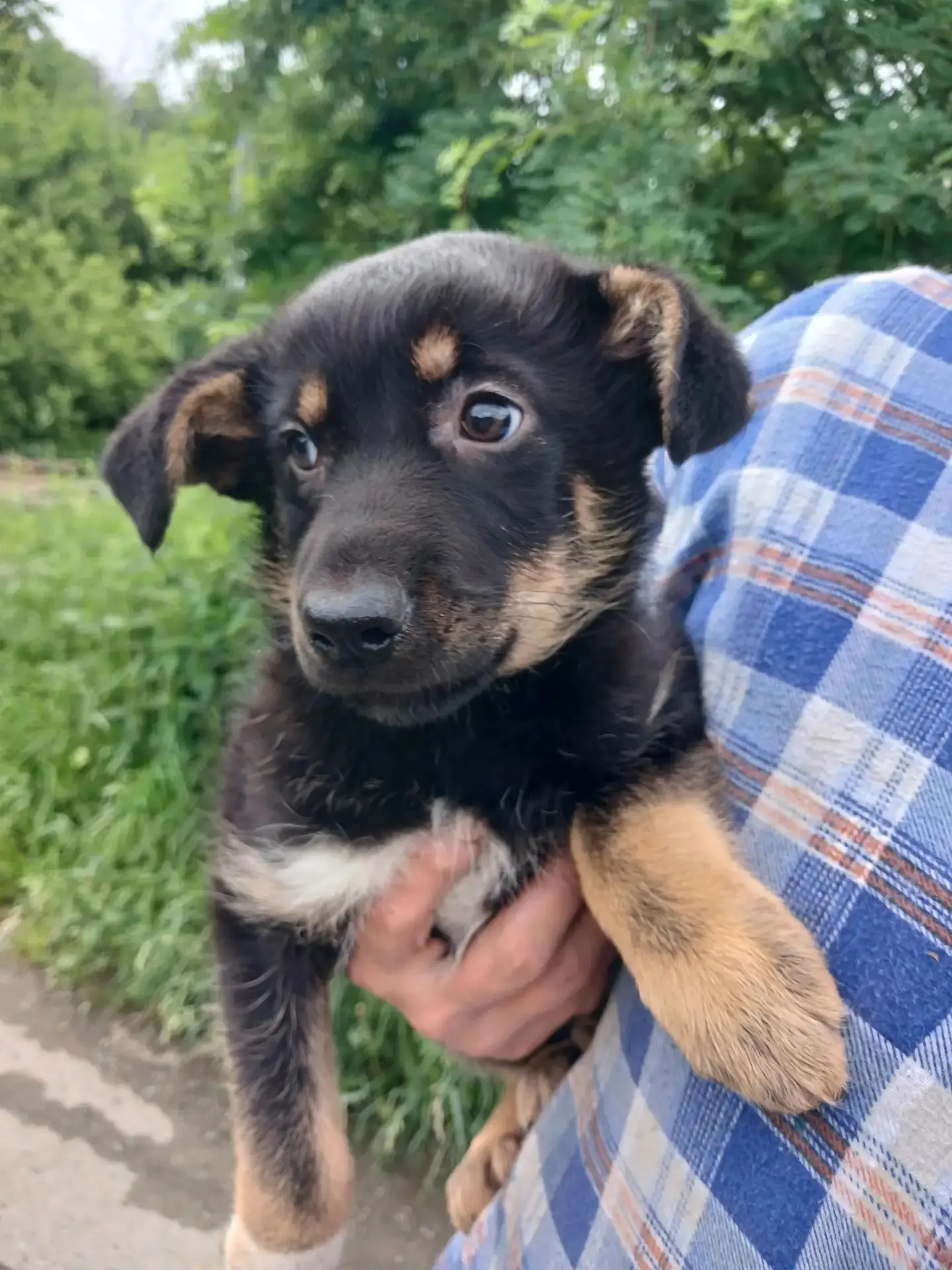 Мне сегодня дали имя Элис!

🐕‍🦺🐕‍🦺🐕‍🦺🐕‍🦺🐕‍🦺🐕‍🦺🐕‍🦺🐕‍🦺🐕‍🦺🐕‍🦺🐕‍🦺🐕‍🦺
 И знаете, 