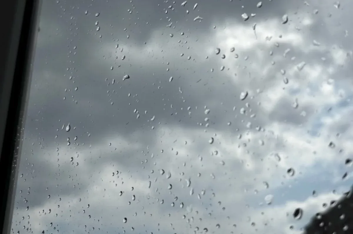 🌧️ +25ºС и дождь прогнозируются в Пензенской области 18 июля