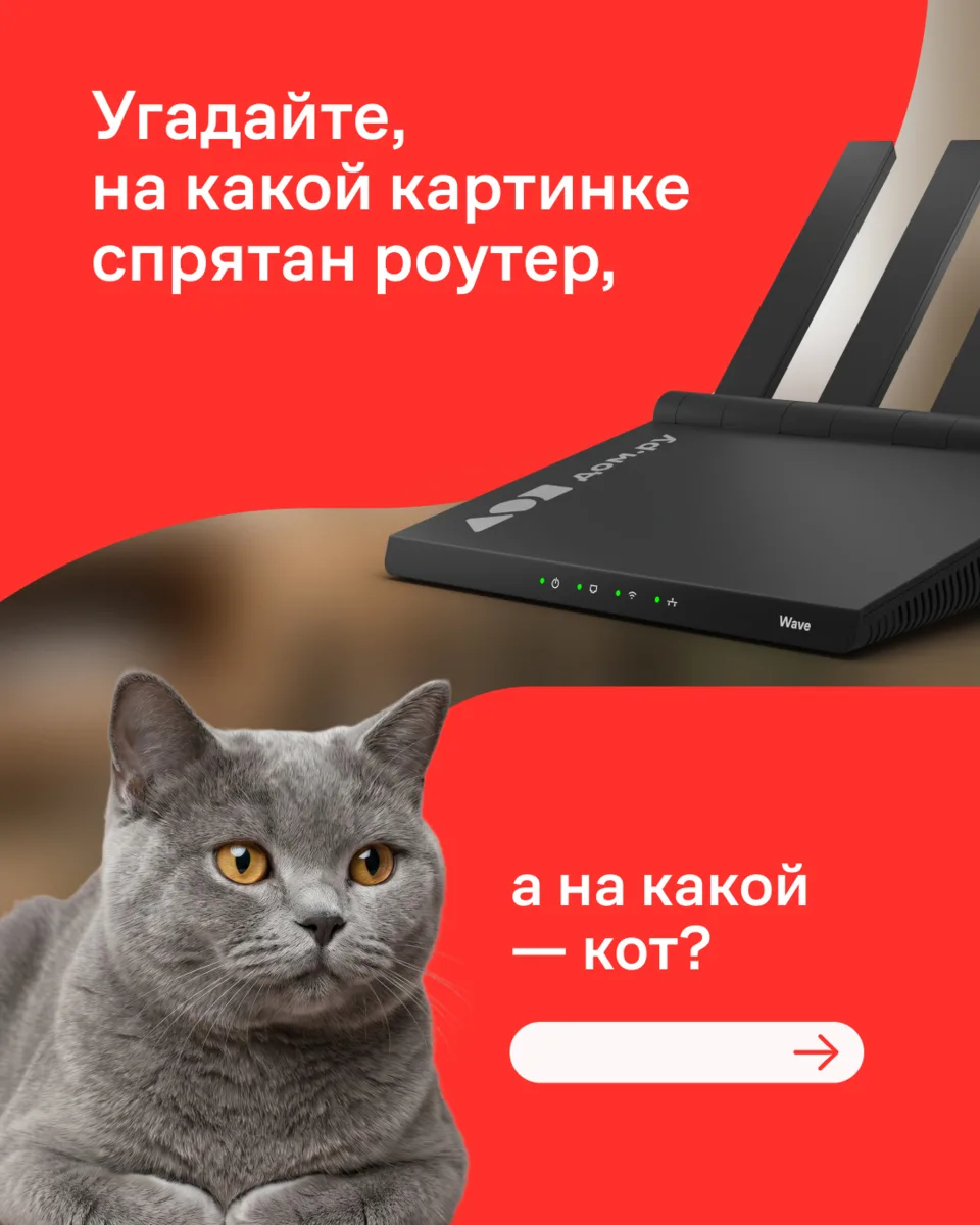 Любите игры на внимательность? 😼