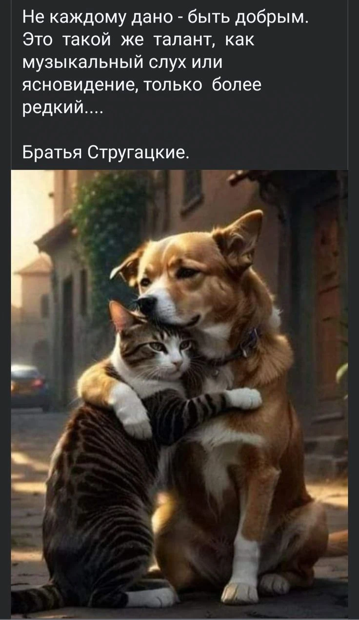 Братья Стругацкие писали фантастические романы, но по сути рассказывали о доброте во Вс...