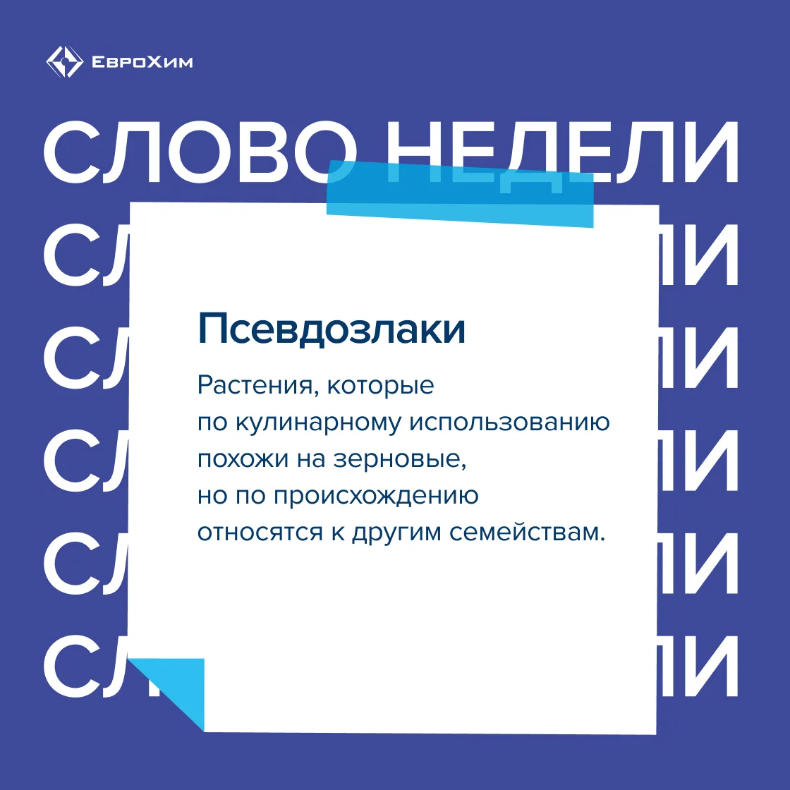 Изображение 1 к публикации «ЕвроХим»