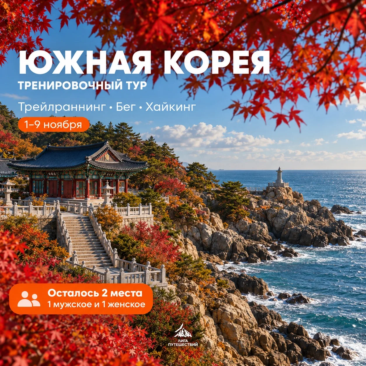 В тренировочный тур в Южную Корею осталось всего 2 места 🇰🇷