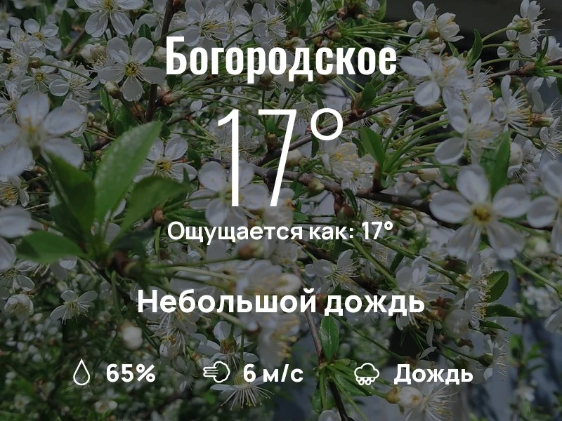 Что с погодой в Богородском?