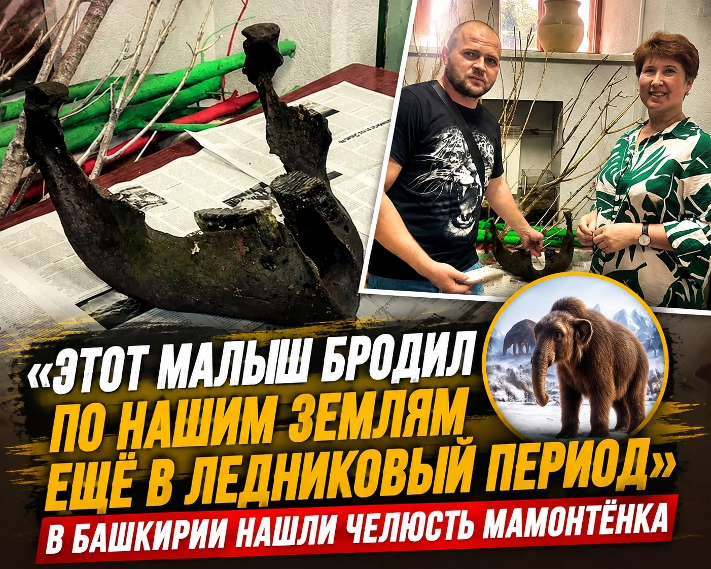 Необычный подарок получил Национальный музей Башкортостана — житель Дюртюлинского района Сергей Крюч