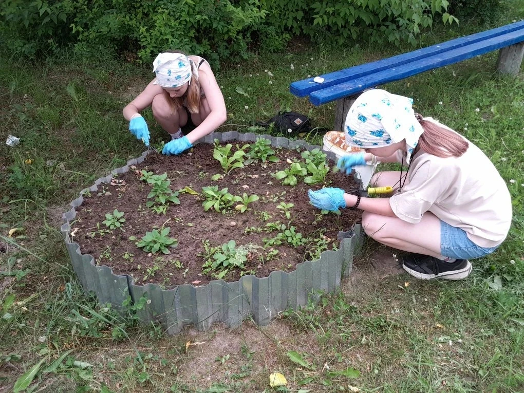 🌞После праздничных  выходных пришкольный участок будто ждал заботливых рук — и ребята не подвели! 
