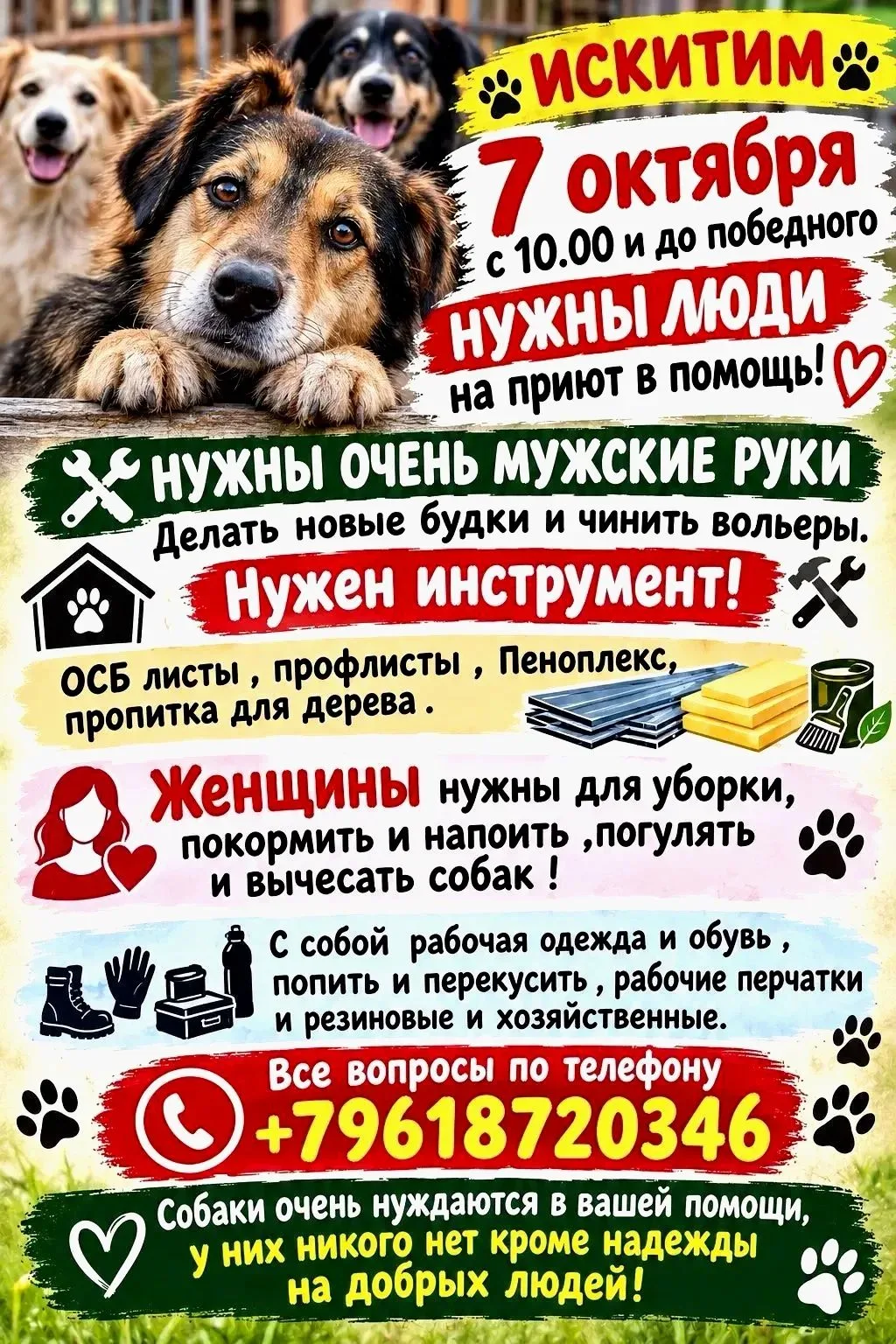 В Искитимский приют бездомных животных «Созвездие сибирских псов» 7 октября нужны люди ...