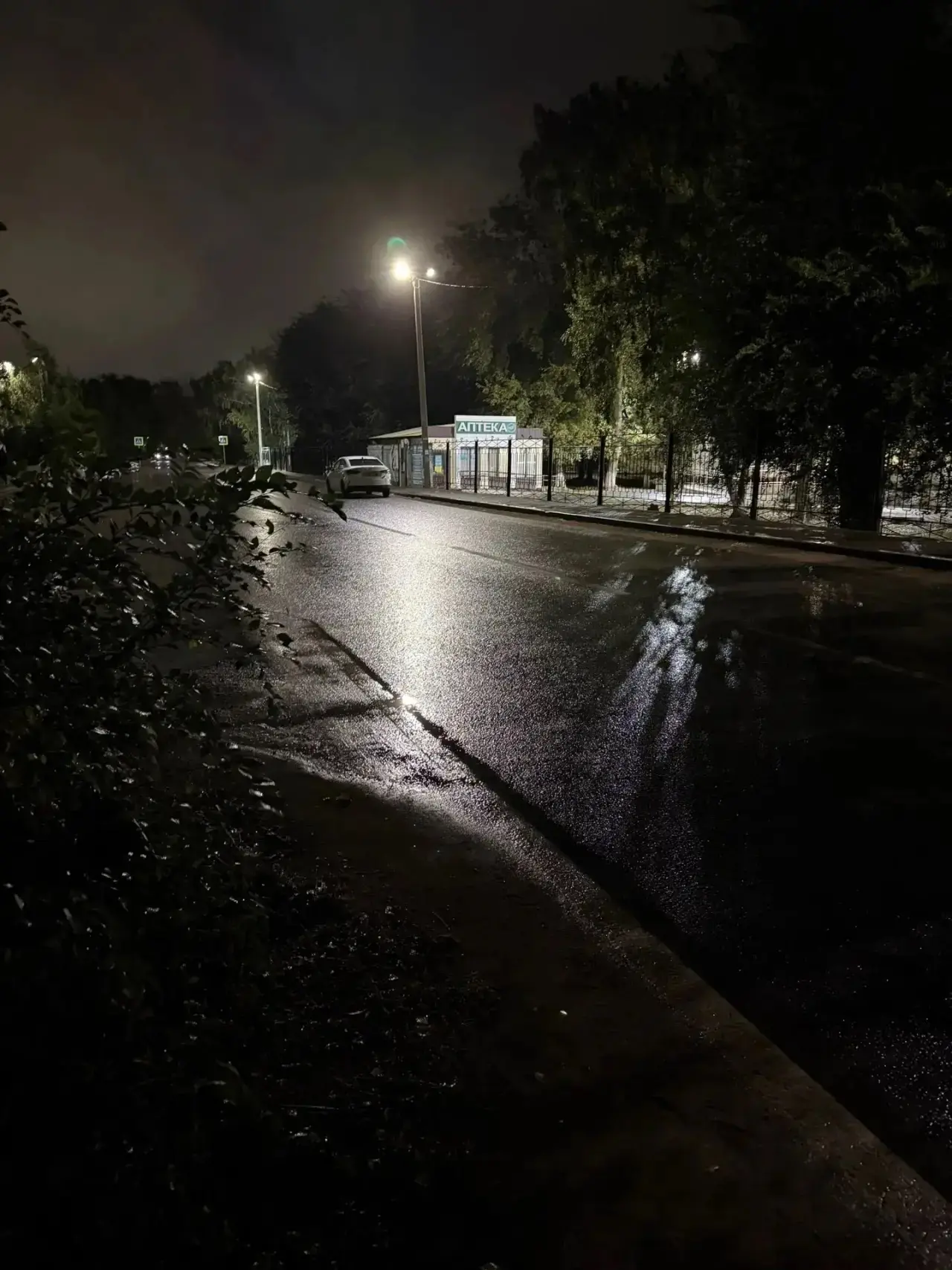 Гуляла вечером с собакой. Было темно, провалилась ногой в яму. Хорошо, что успела зацеп...