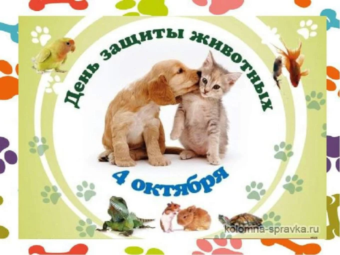 ✨ Мастер‑класс " Тепло своими руками" в начальных классах — ко Дню защиты животных!