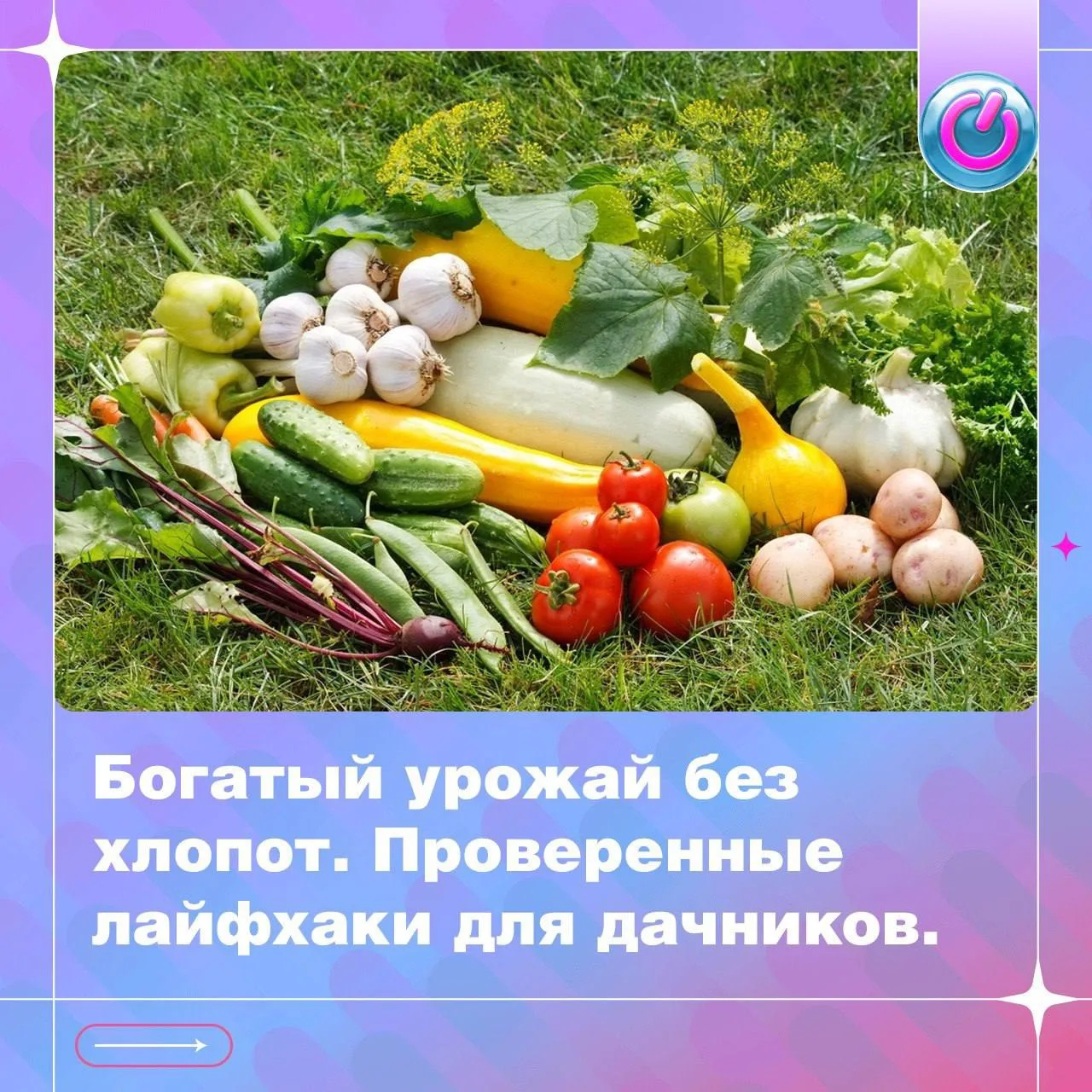 Июнь — пора, когда закладывается основа для будущего изобилия на грядках. Хотите, чтобы ваш огород р