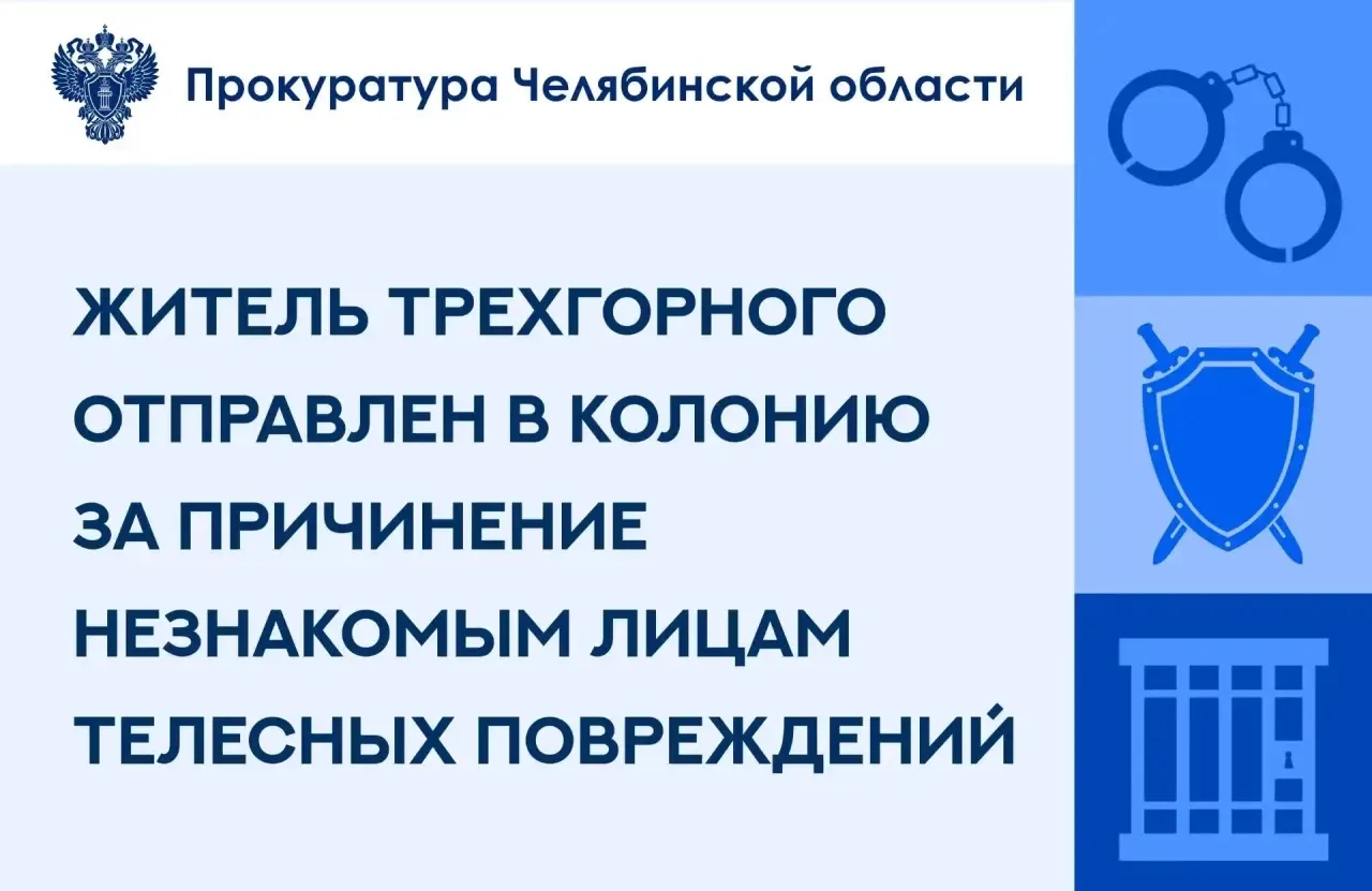 Трехгорный городской суд вынес приговор по уголовному делу в отношении  ранее неоднокра...