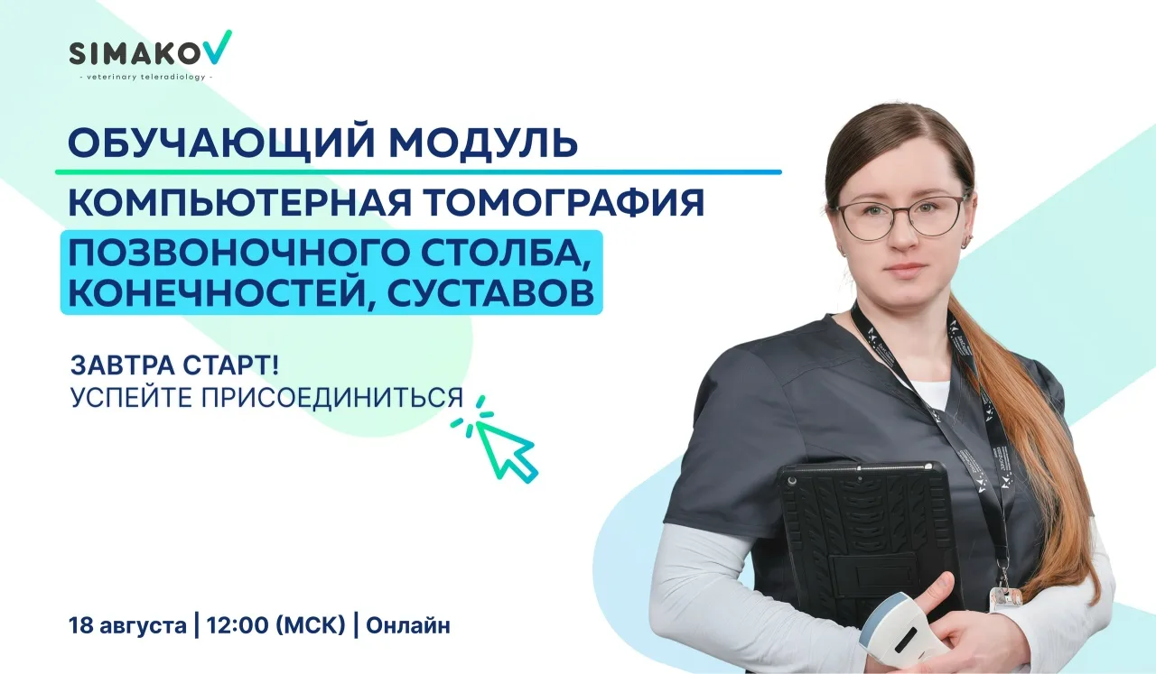 🗓 Уже завтра стартует финальный модуль по КТ