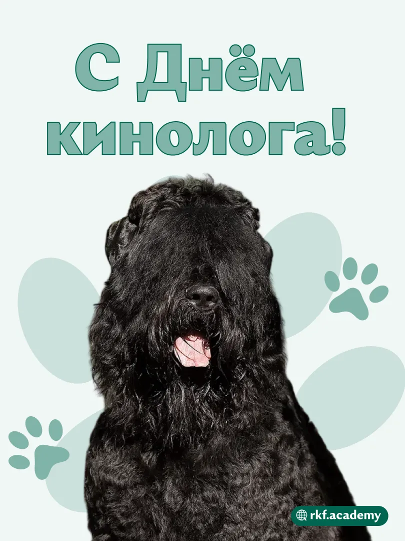 С Днём кинолога 🐶

Этот праздник — про людей, которые могут встать в выходной в 6 утра ради трениро