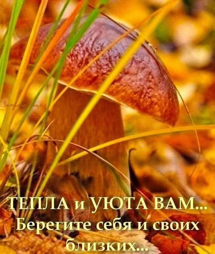 Заходи за хорошим настроением! 👉Подписаться!