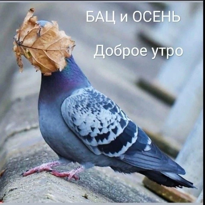 Доброе утро, Волжский МЭИ! 🌥️