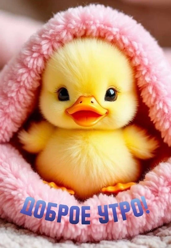 Открытки и приколы 🌸
Подписаться 👈