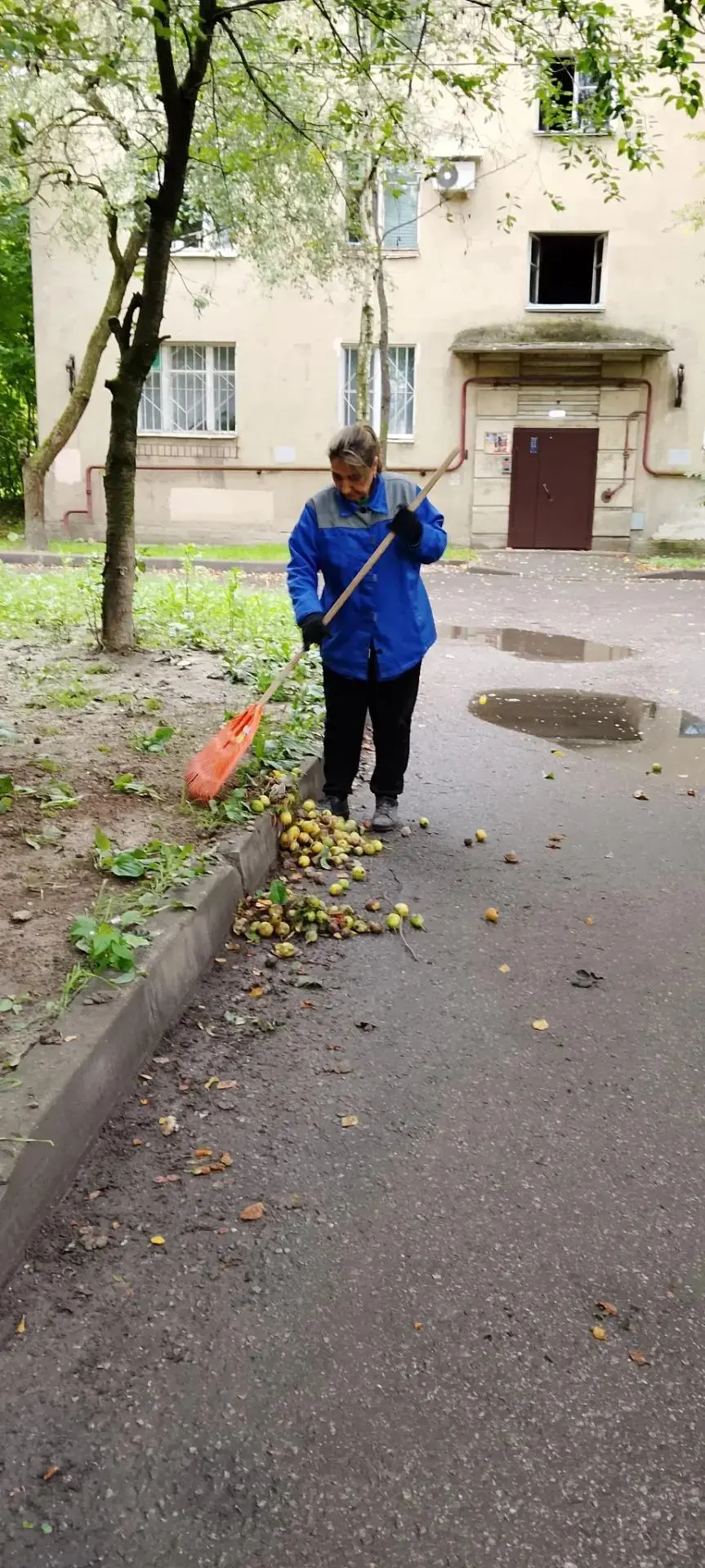 🍁Осень — это про уют, шуршание листьев и тёплые шарфы, а не про риск поскользнуться на...