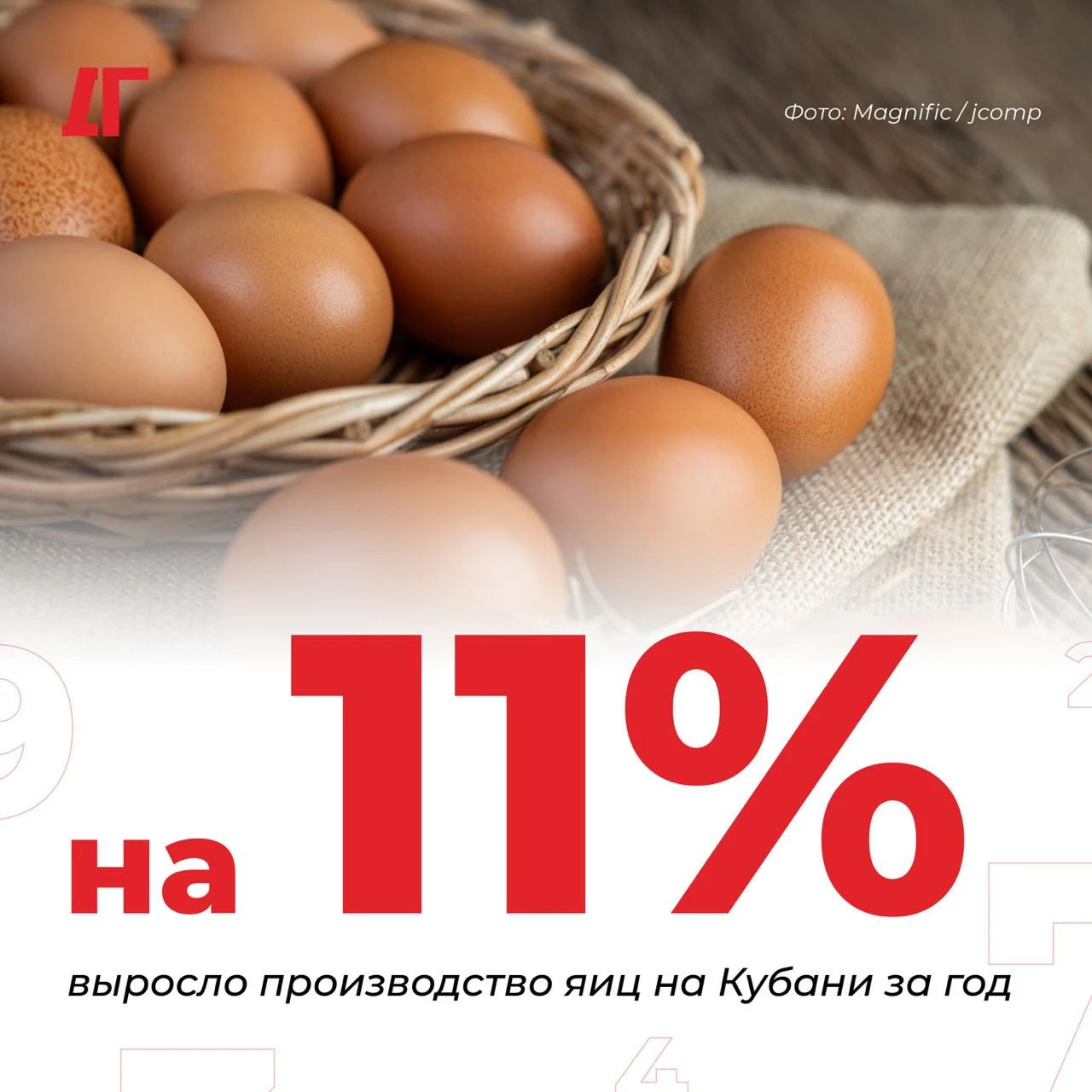 На Кубани производство яиц выросло на 10,6% за год