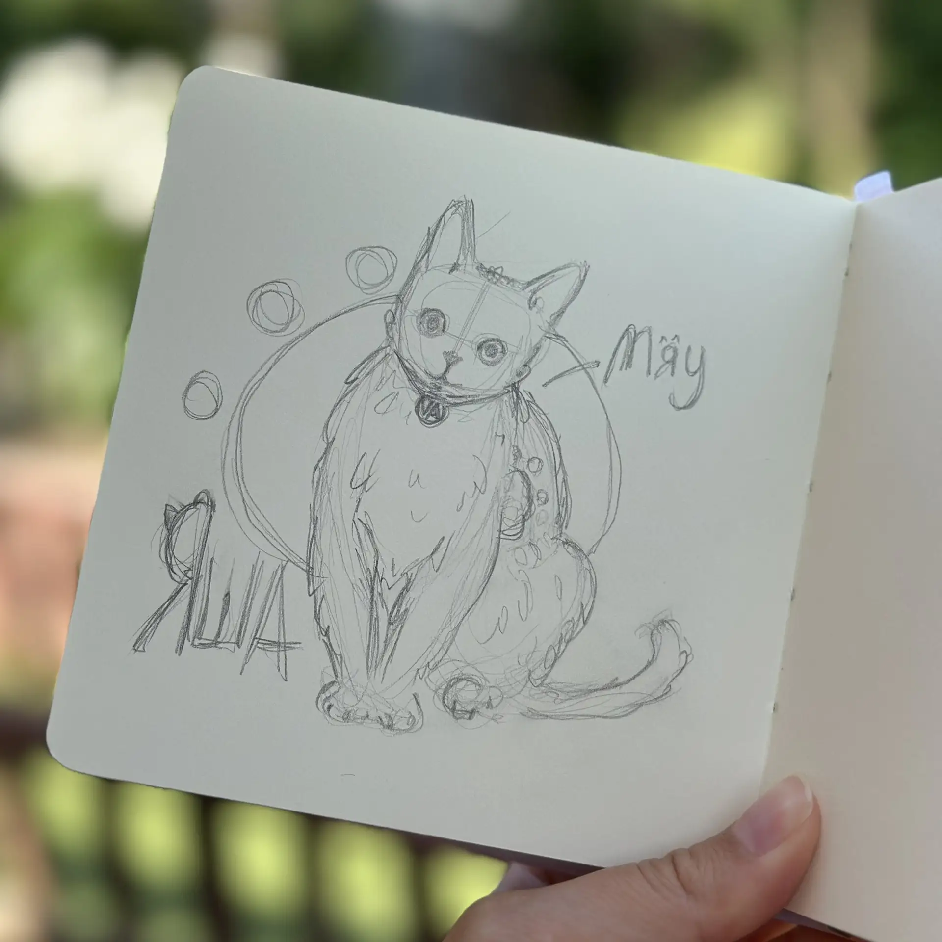 🐈‍⬛ 🐾