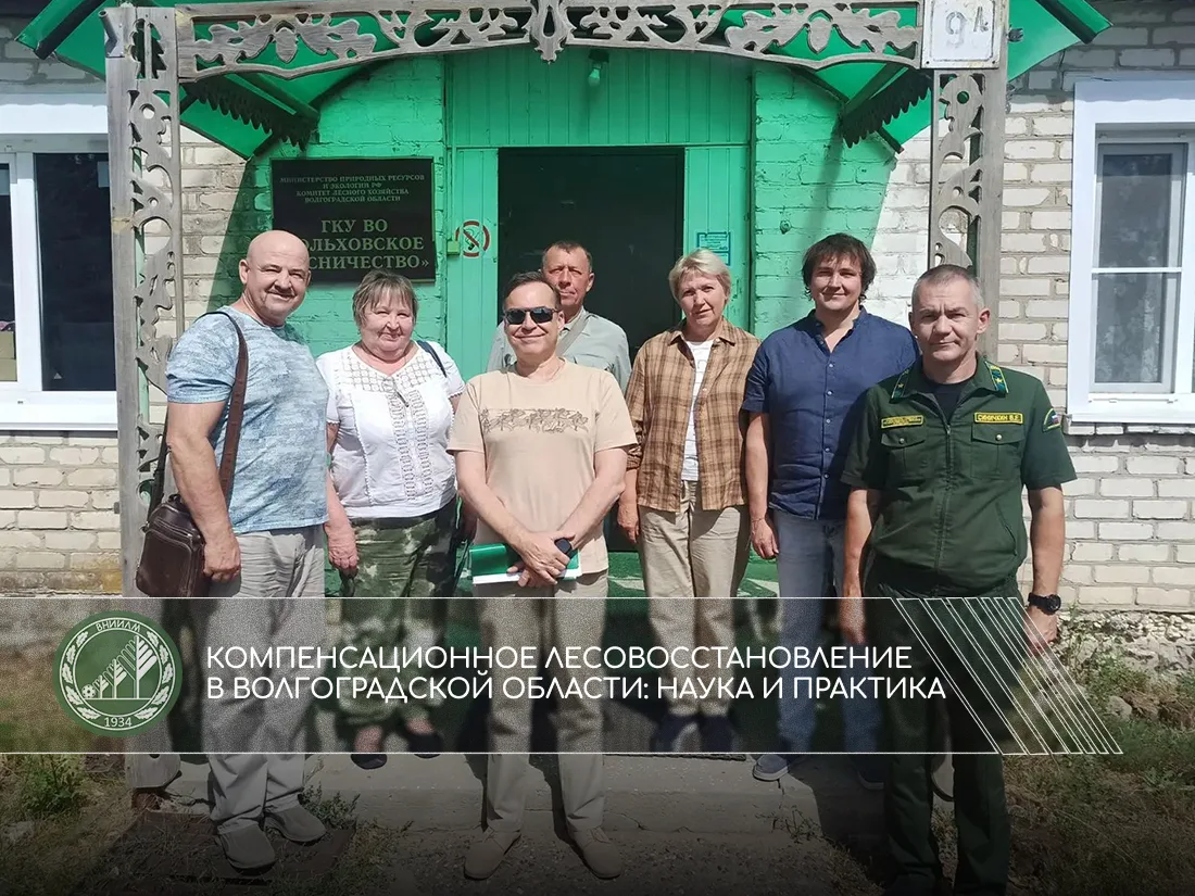Компенсационное лесовосстановление в Волгоградской области: наука и практика
