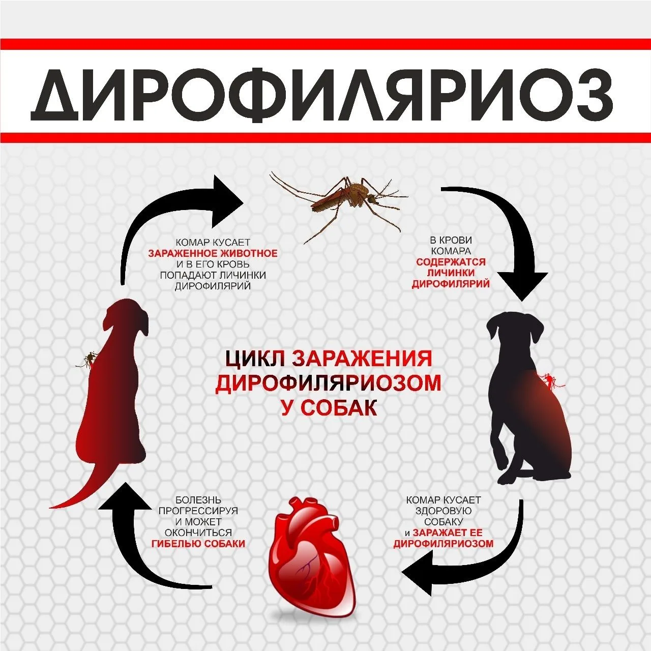Будьте готовы: лечение займёт не одну неделю, а несколько месяцев. И хотя врачи делают всё возможное