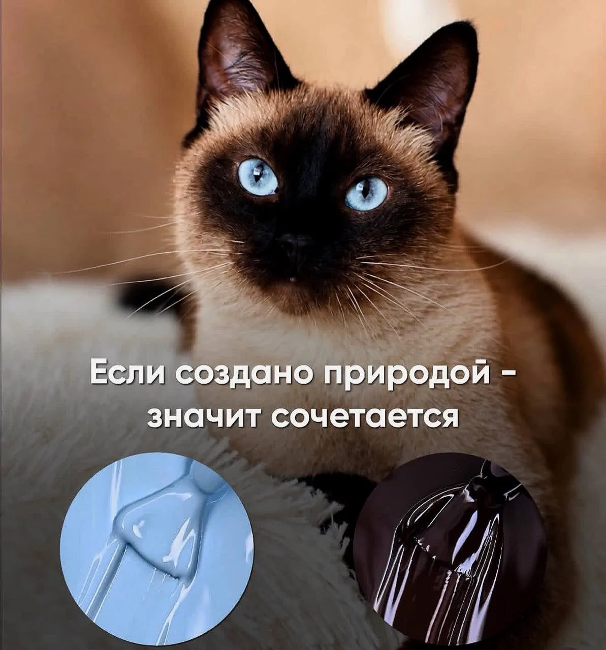 Вдохновляйтесь вместе с нами