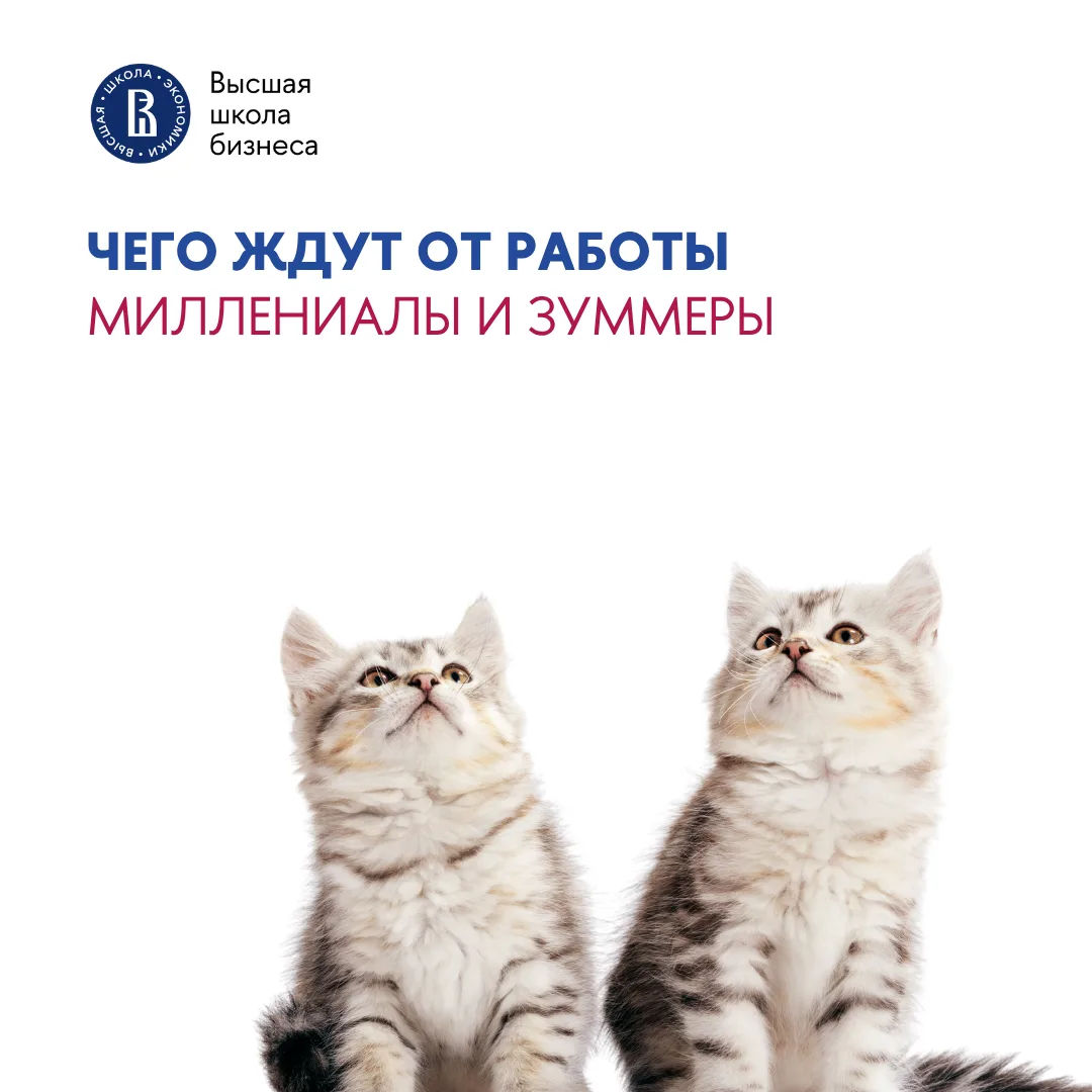 Такие похожие миллениалы и зуммеры