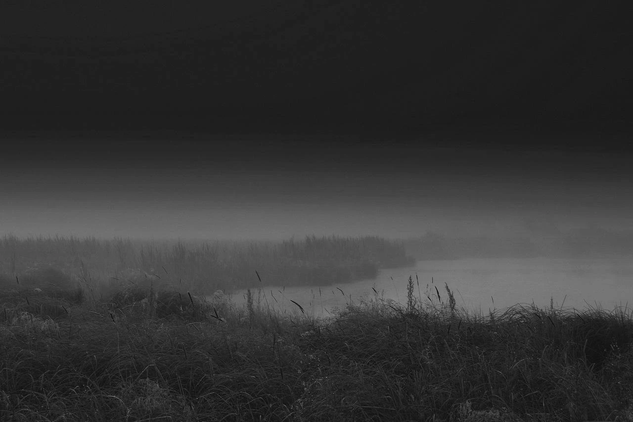 🎞 Кинематографичные кадры от серовского фотографа Романа Самойлова.