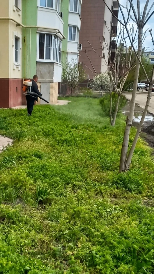 К новости «🛡️ Территория без сорняков!»