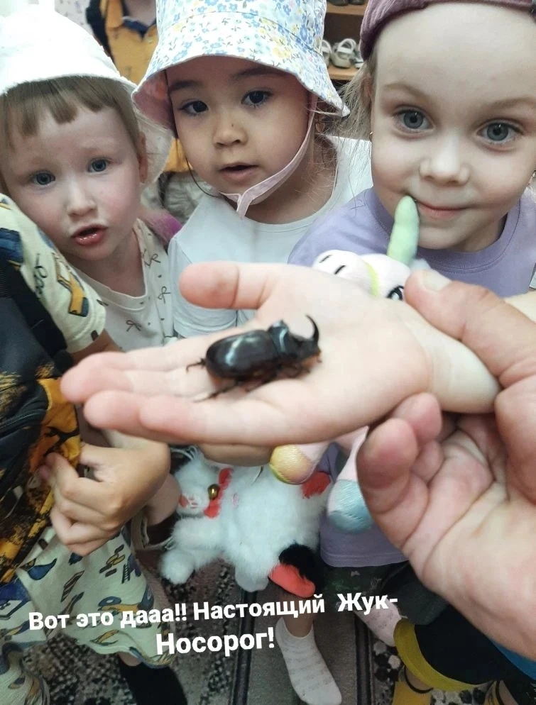 ✨Мир полон чудес, и иногда самые удивительные вещи находятся прямо у нас под ногами. 
Дети, с их неп