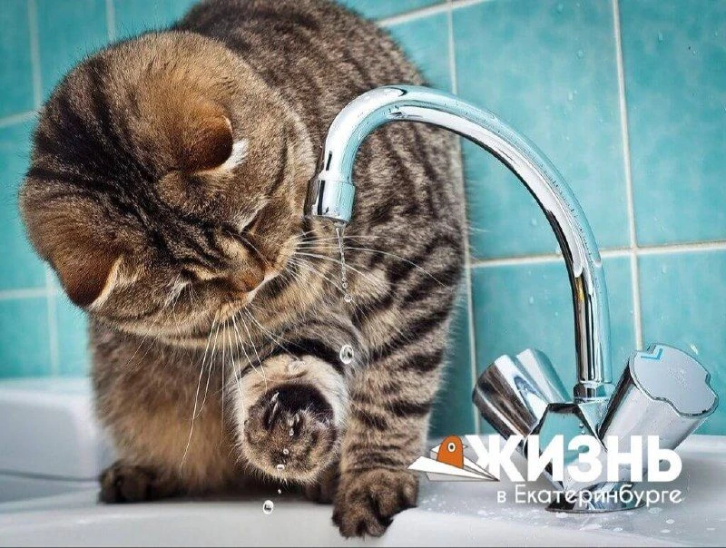 😡 ВОДА, ВЕРНИСЬ!
